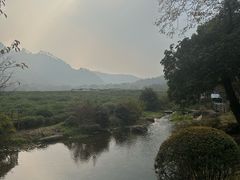 -中国茶叶博物馆(双峰馆区)