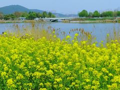 -云龙湖旅游景区