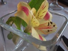 -Top Of Vancouver Revolving Restaurant