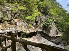 -洛阳白云山景区