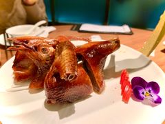 -鹊玥·粤菜小馆(汇智国际商业中心店)