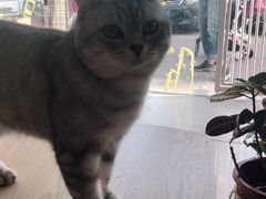 -平行世界·猫咖(首经贸店)