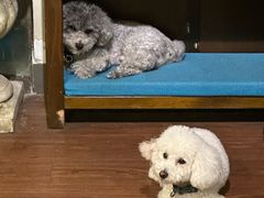 -默迹咖啡馆