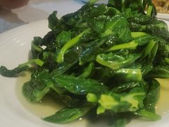 清炒豆尖-峨嵋酒家总店(车公庄店)