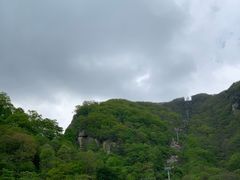 -牛背梁国家森林公园