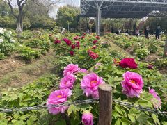 -合肥三国新城遗址公园