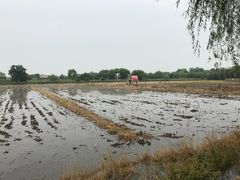 -长兴太湖图影湿地文化园