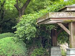-白塘生态植物园