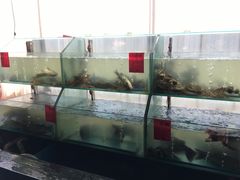 水产区-桃源村铁锅炖鱼(体育馆道店)