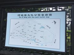 -河泥荡文化公园
