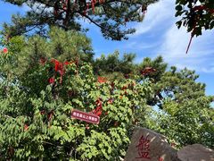 -天津盘山风景名胜区