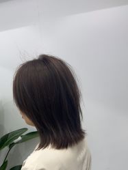 -镁连社·美联社
