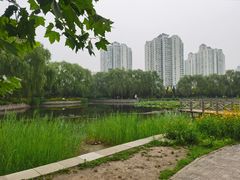 -望湖公园