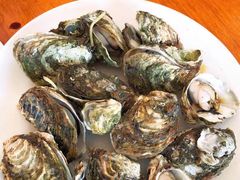 -南蚝小贝海鲜特色餐厅(南澳岛店)