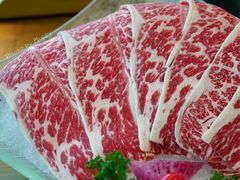 -同禧荟·港味海鲜火锅·粤菜(三亚湾店)