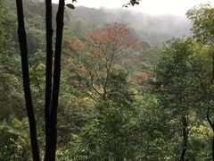 -广州市石门国家森林公园