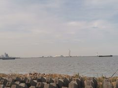 -上海滨江森林公园