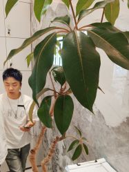 -LJOY丽锦造型·烫发染发