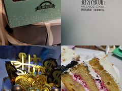 -维尔纳斯·生日蛋糕·动物奶油冰淇淋蛋糕(雨花店)