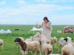 -呼和诺尔旅游景区