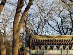 -北京国子监胡同