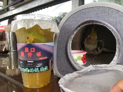 -崖口煲仔饭