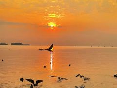 -西昌邛海湿地