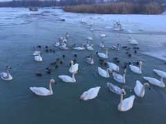 -博乐滨河公园