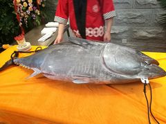 -割烹旭日本料理(龙湖狮山天街店)
