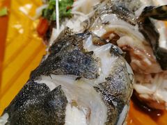 石斑鱼-盒马鲜生(龙德广场店)