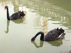 -南翠屏公园