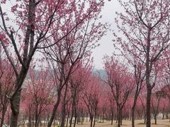 -牛岗山公园