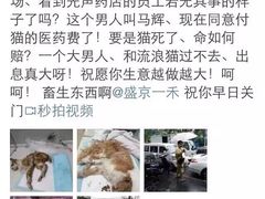 杀猫老板不得好死-盛京一禾