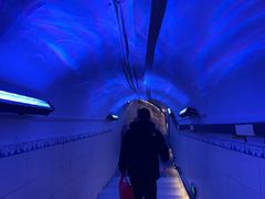 -洞庭洲·防空洞火锅·铜锅涮肉·烧烤(新百广场店)