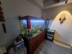 -逸栈养生SPA(望京店)