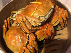 大闸蟹-蟹榭(静安寺晶品商场店)