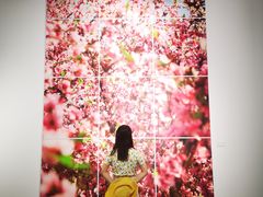-南京书画院金陵美术馆