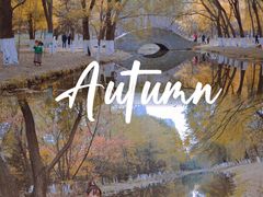 -长白岛森林公园