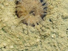 -北海金海湾红树林生态旅游区