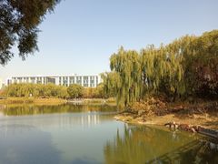 -大兴滨河森林公园