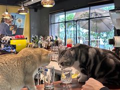 -咖法森林·咖啡  酒吧(天河店)