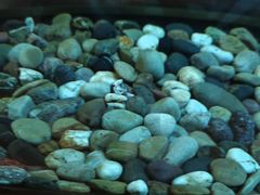 -大唐盲人按摩中心(天山路店)