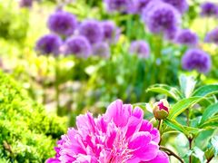 -国家植物园南园