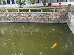 -苏州文庙(姑苏区)