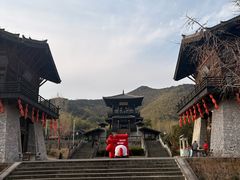 -大唐贡茶院