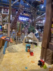 -卡通尼·Safari非洲探索乐园·生日会(金桥国际商业广场店)