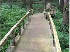 -波尔登森林公园