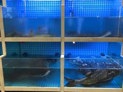 -聚丰园•湖鲜餐厅(阿红私房菜梅石路店)
