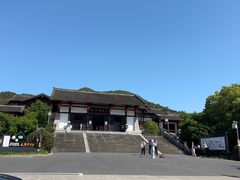 -大唐贡茶院