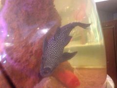 -御花园·粤菜·海鲜火锅(中山公园店)